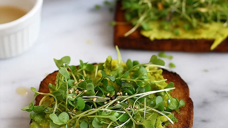 Cocina Plant-Based en la Hostelería Española